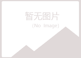 偃师冷漠材料有限公司